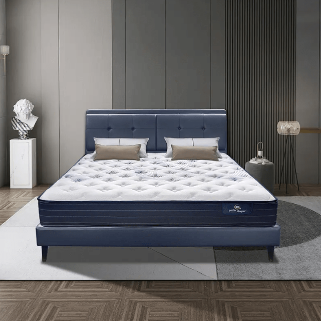 Harvey (夏維) - Serta Store