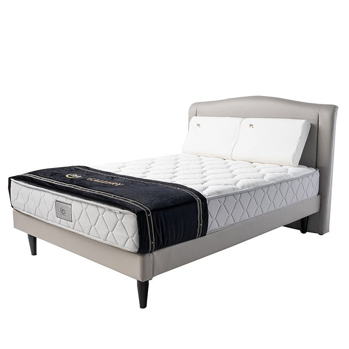 Serenity Posture Pro (適健護脊床褥 Pro) - Serta Store